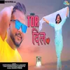 About TOR DIL Song